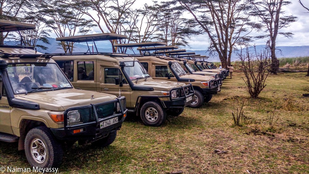 quest horizone Safari Vehicles
