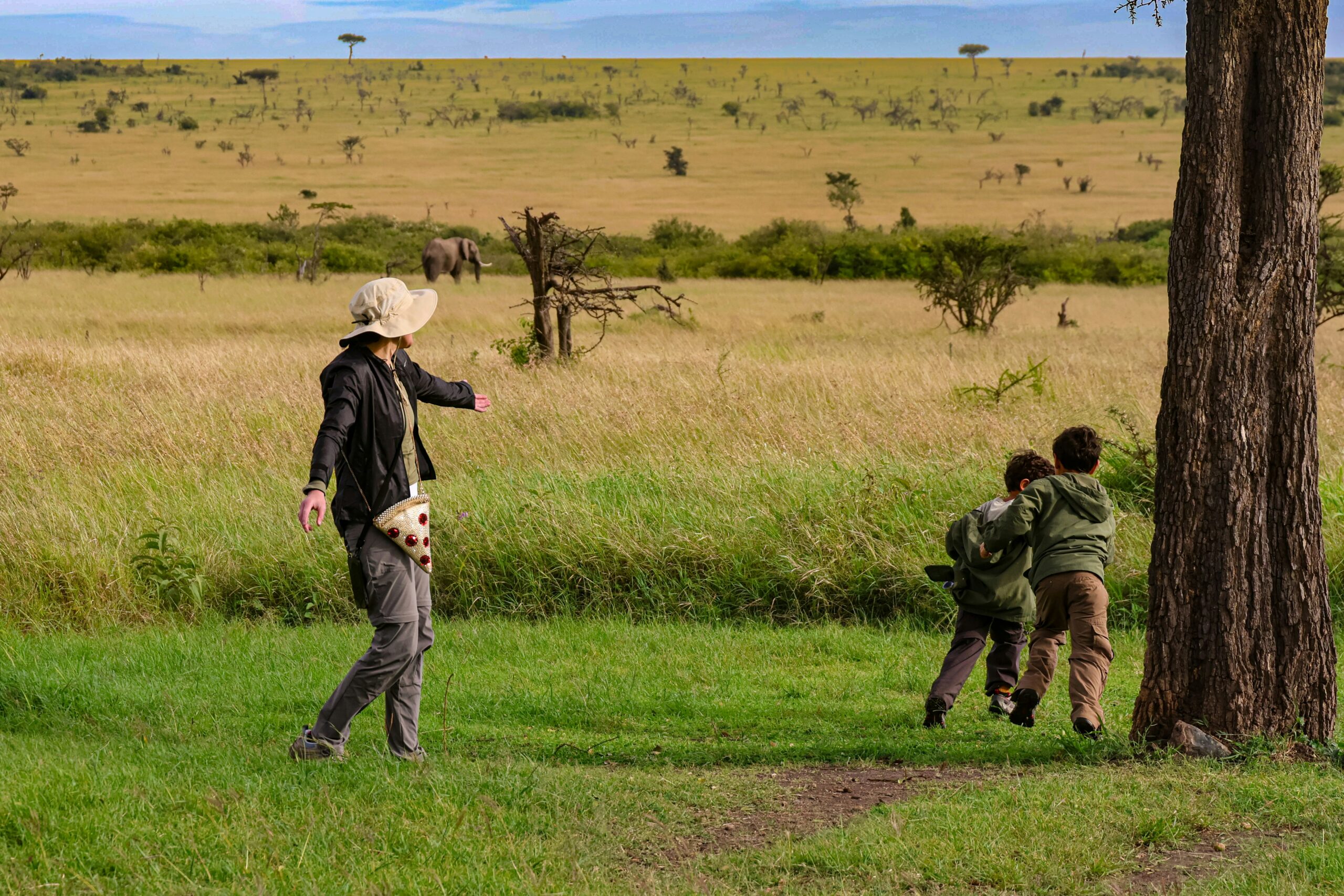 solo safari