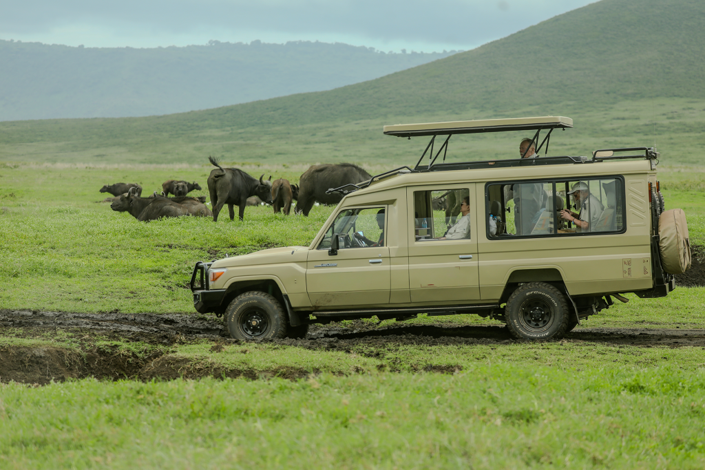 <strong><strong><strong>Morning Game Drive and Flight to Arusha</strong></strong></strong>