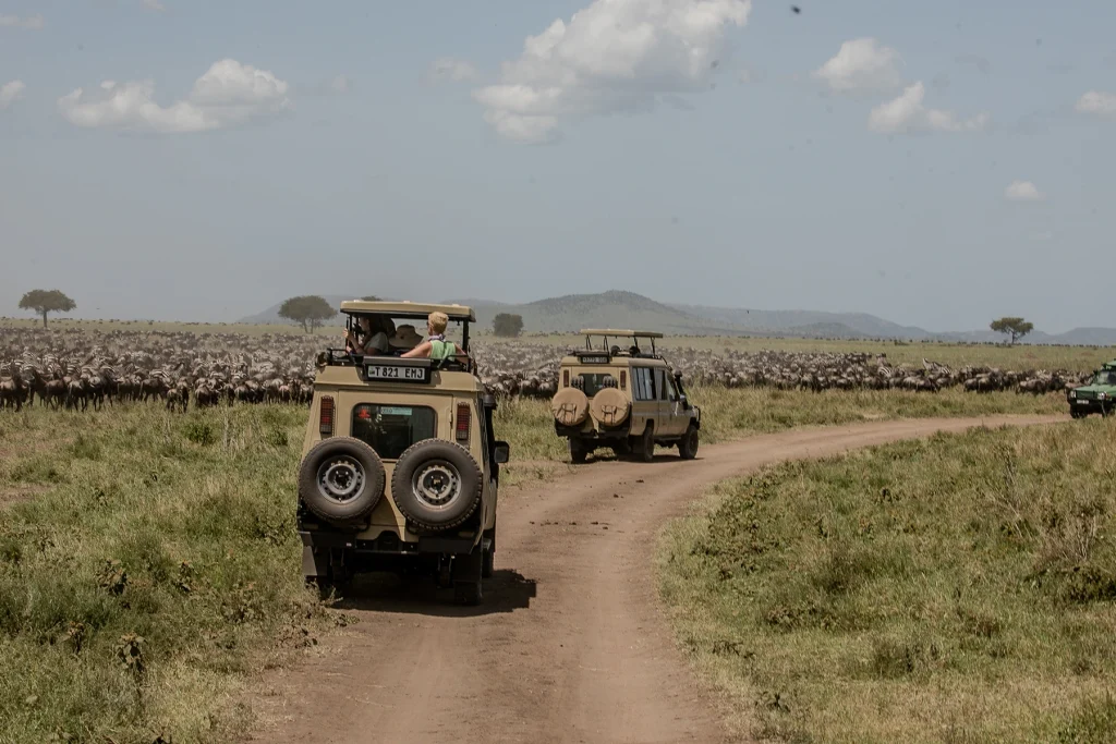 12 Days Ultimate Northern Tanzania Discovery Safari