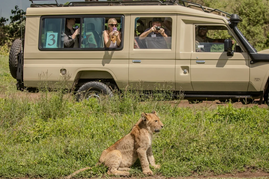 <strong>Morning Serengeti Safari and Flight to Arusha</strong>