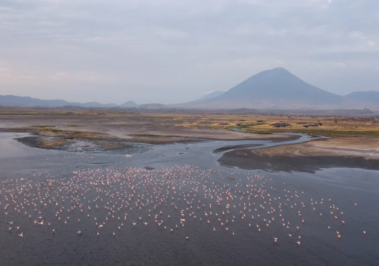 Lake Natron -Largest flamingo breeding colony