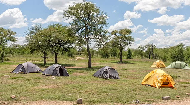 Camping Safari