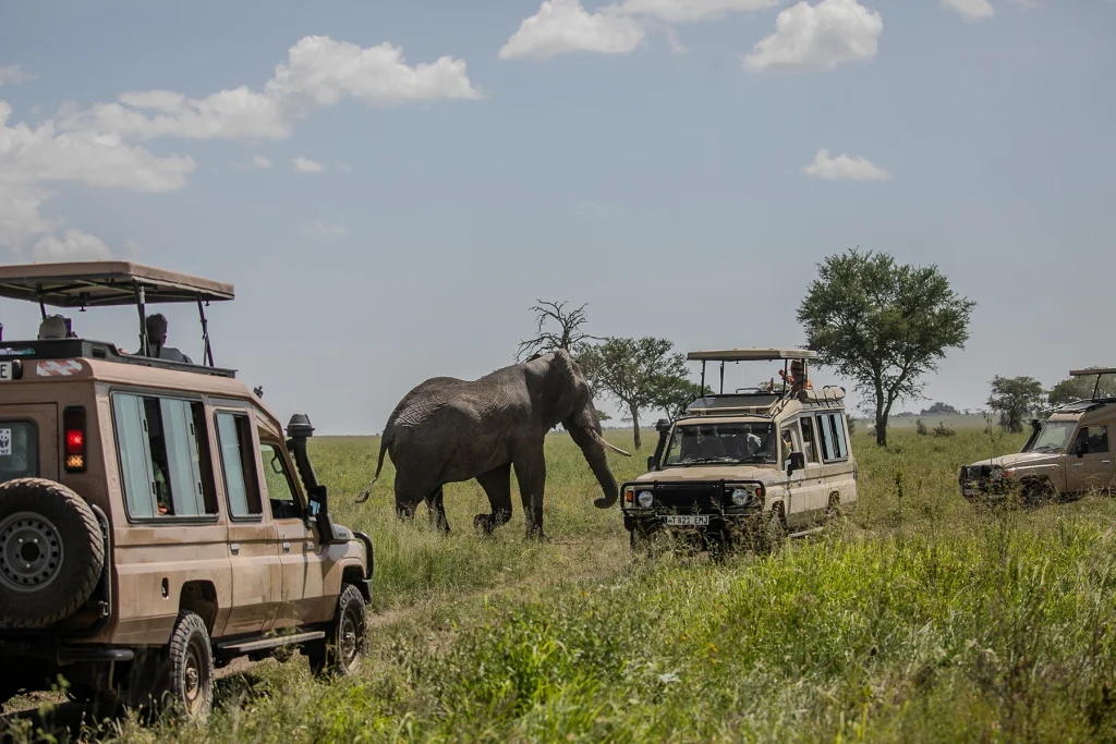 Arusha to Tarangire National Park and Karatu