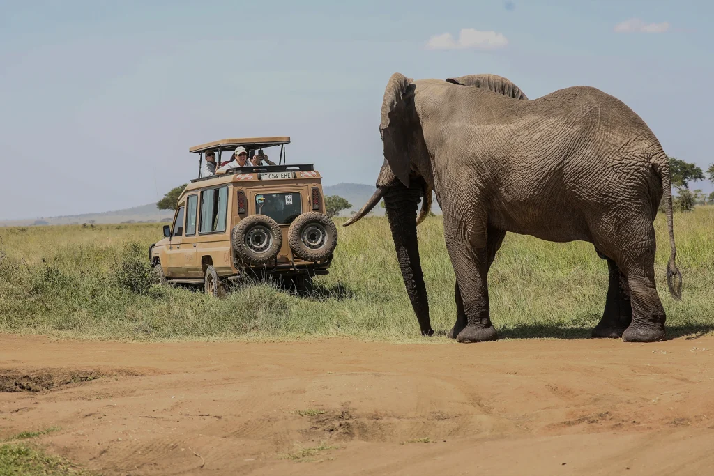 <strong>Tarangire Game Drive and Transfer to Karatu</strong>