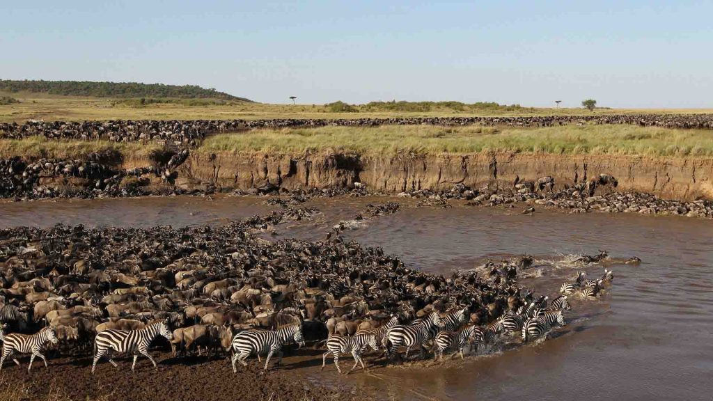Ngorongoro Crater Safari and Central Serengeti