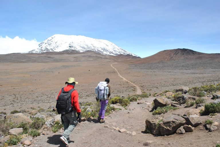 6 Days Marangu Route Kilimanjaro Climb