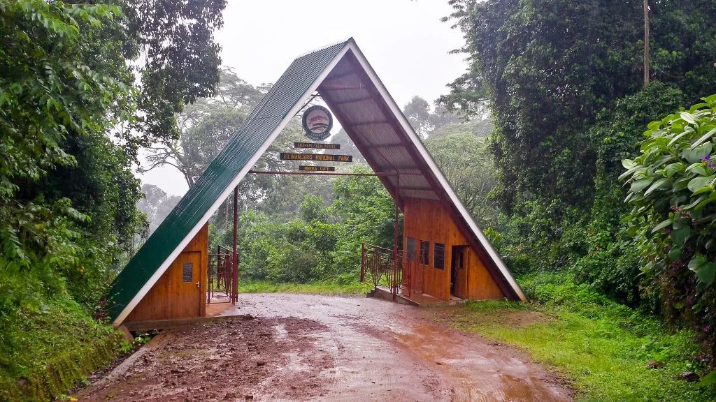 <strong>Mweka Camp to Mweka Gate</strong>