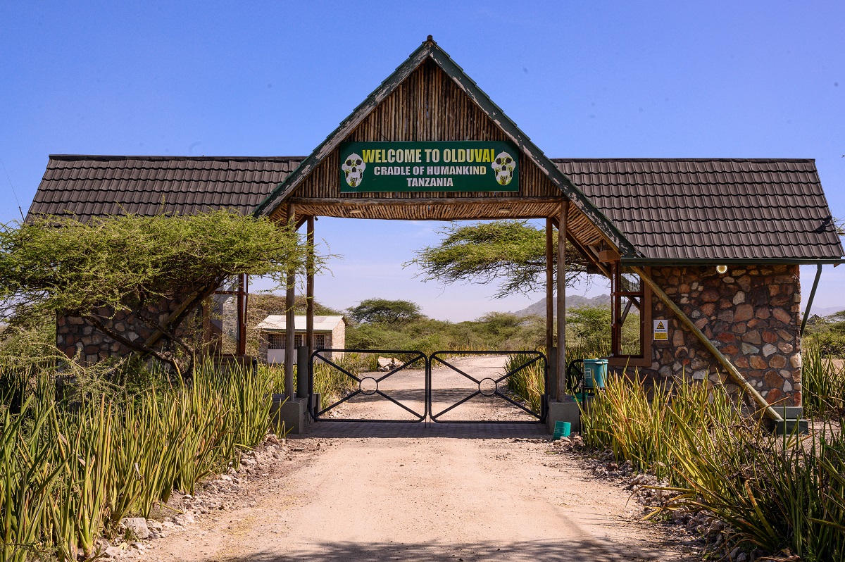 Olduvai Museum NCA