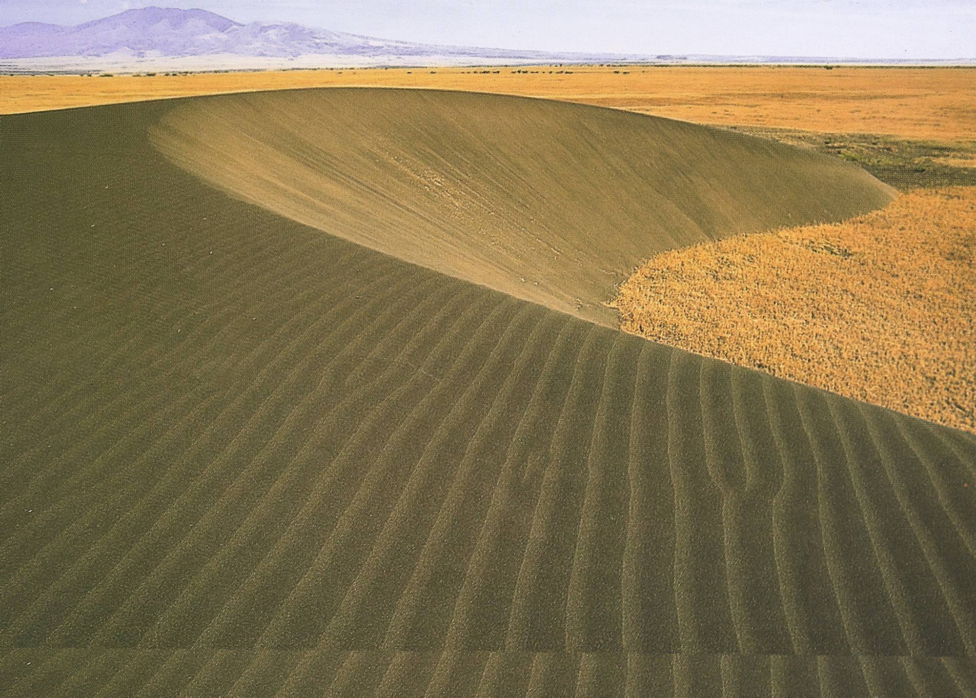Shifting sand landscape