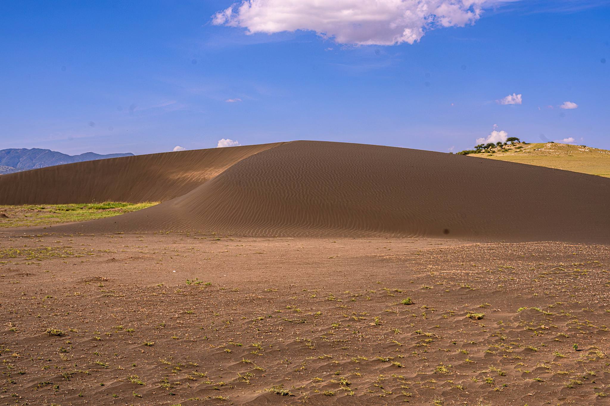 Shifting Sands