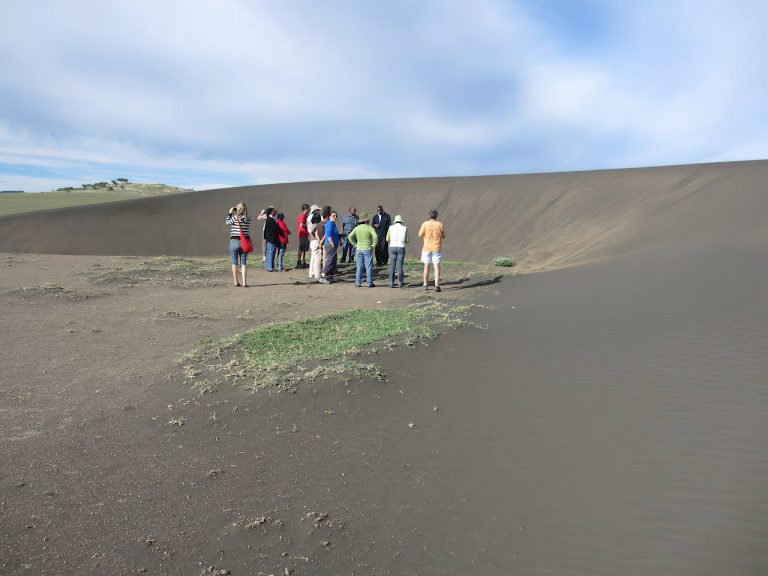 Shifting Sand