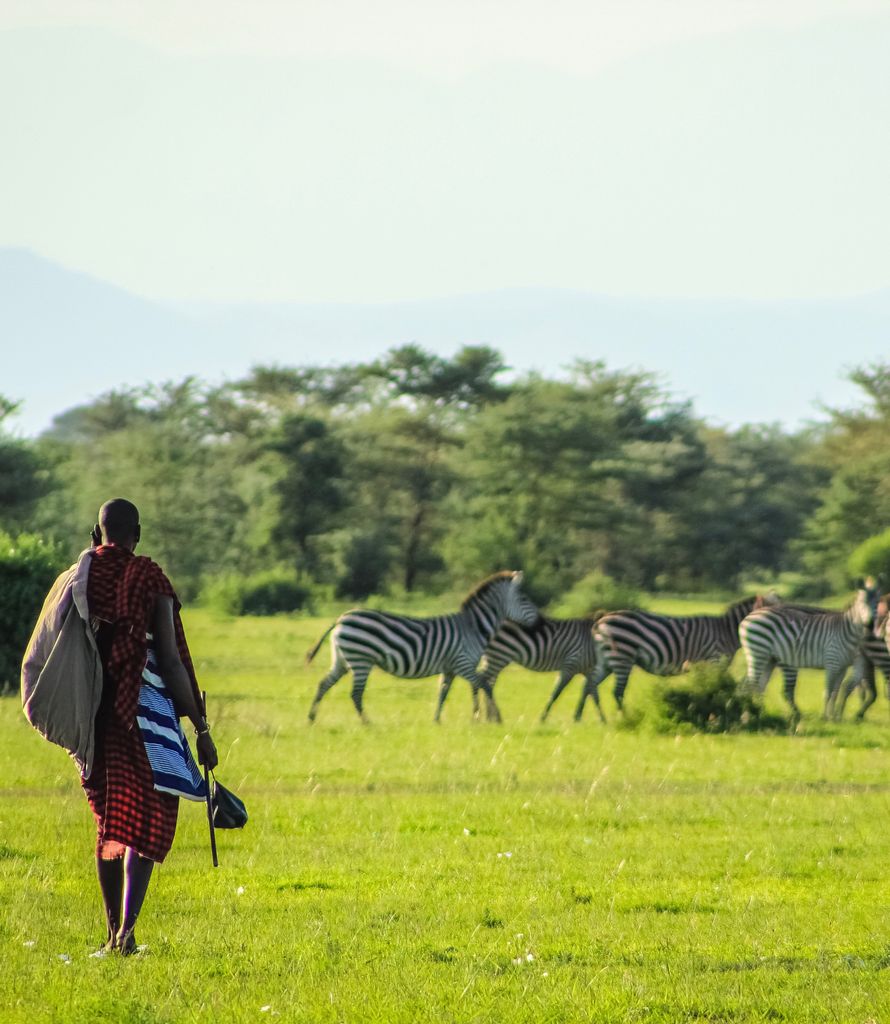 8 Days Tanzania Wildlife and Cultural Safari