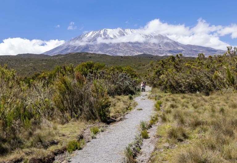 8 Days Shira Route Kilimanjaro Climb