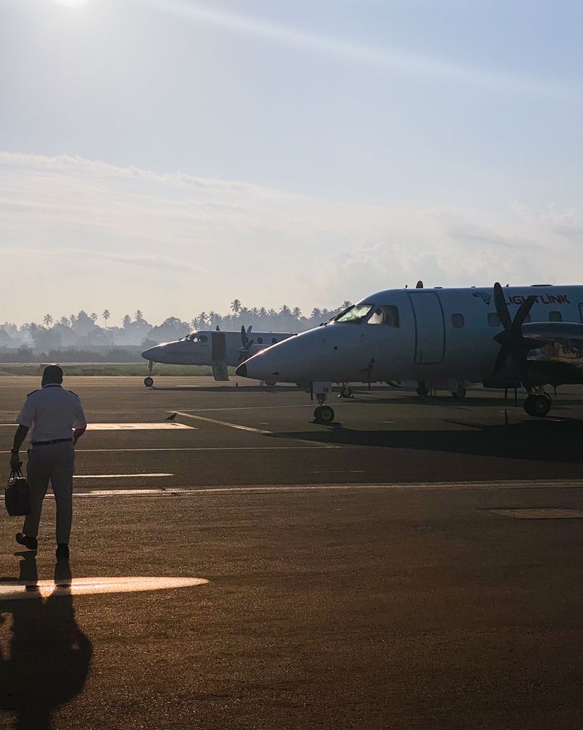 <strong>Northern Serengeti Game Drive and Flight Out</strong>