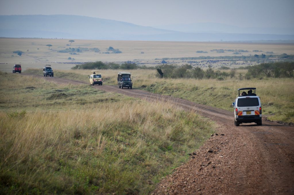 Morning Game Drive and Flight Back to Arusha