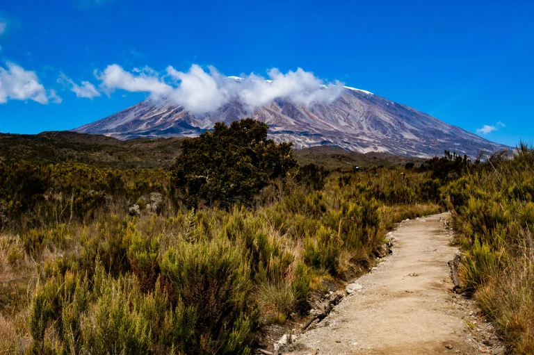 8 Days Lemosho Route Kilimanjaro Climb