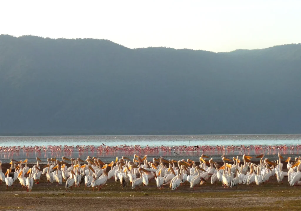 Lake Manyara to Lake Eyasi and Datoga Cultural Experience