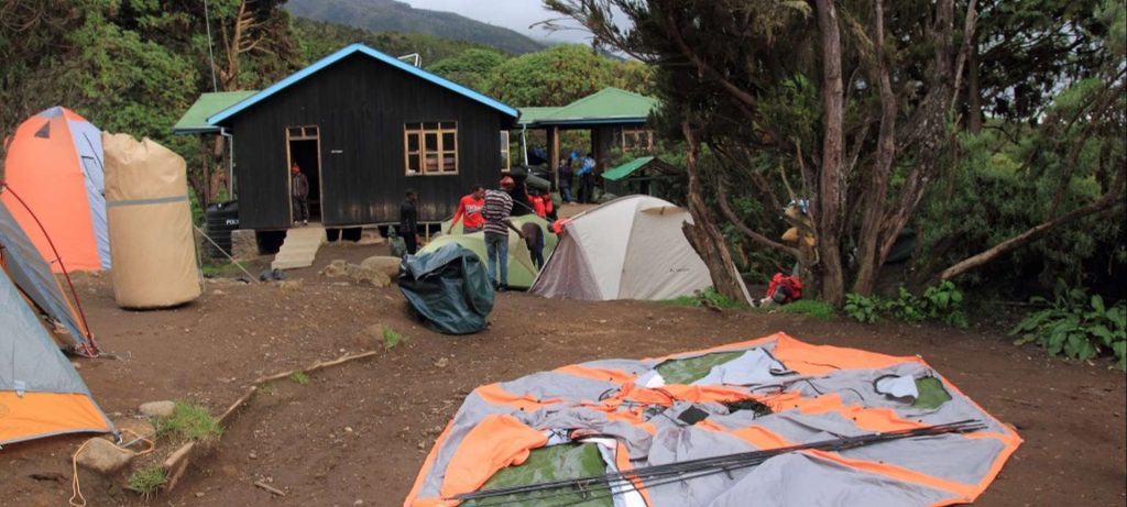 Barafu Camp to Uhuru Peak and Descent to Mweka Camp