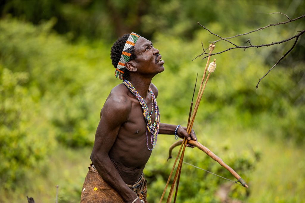 <strong>Hadzabe Cultural Experience and Karatu</strong>