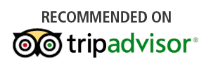 trip advisor logo