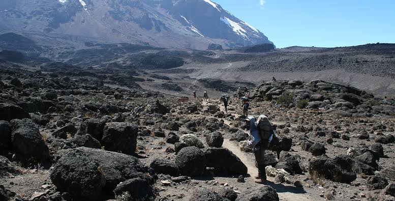 The Highlands Desert Zone
