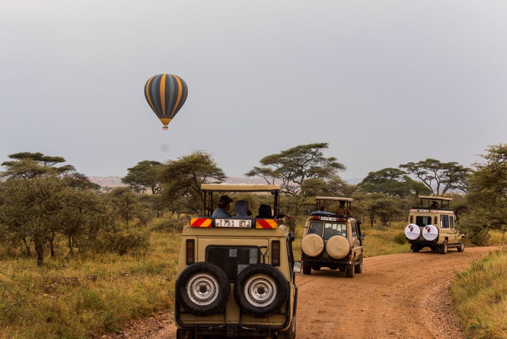 <strong><strong>Ndutu Game Drive and Flight Out</strong></strong>