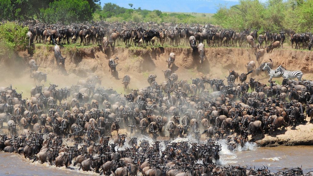 Serengeti Mara River Crossing Safari