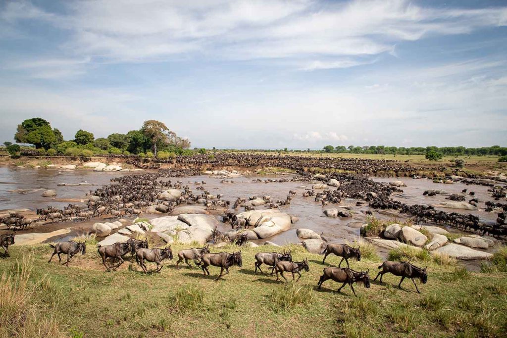 Central Serengeti to Ndutu and Southern Serengeti